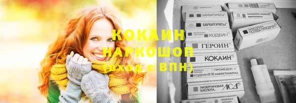гидра Касимов