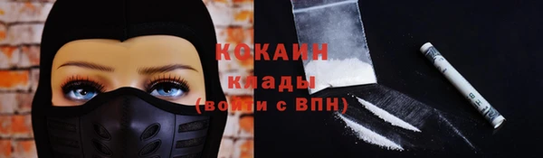гидра Касимов