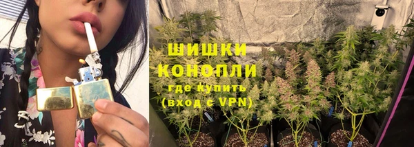 спайс Карпинск