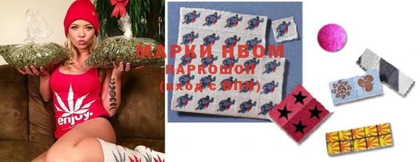 гидра Касимов