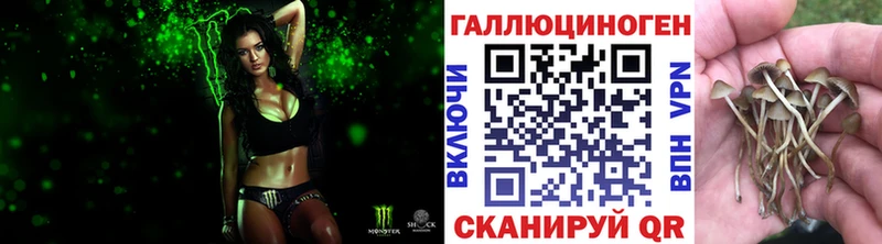Псилоцибиновые грибы прущие грибы  Купить закладки  Порхов 